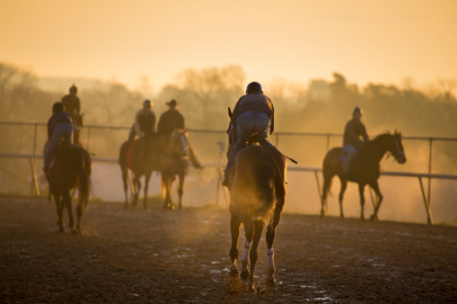 Ira A. Finkelstein, Equestrian Law